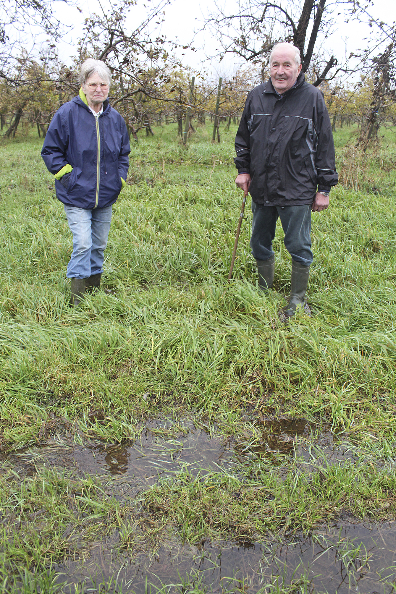 Elke und Walter Holst können ihre Obstplantage kaum noch nutzen. Sie fordern, dass deutlich mehr Wasser abgepumpt wird