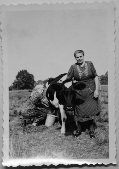 Beim Melken: Hauswirtin Anna Umland (re.) und ihre Tochter Elfriede | Foto: Erika Jonas privat