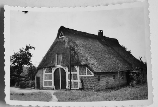 Das Reetdachhaus 1951 | Foto: Erika Jonas privat