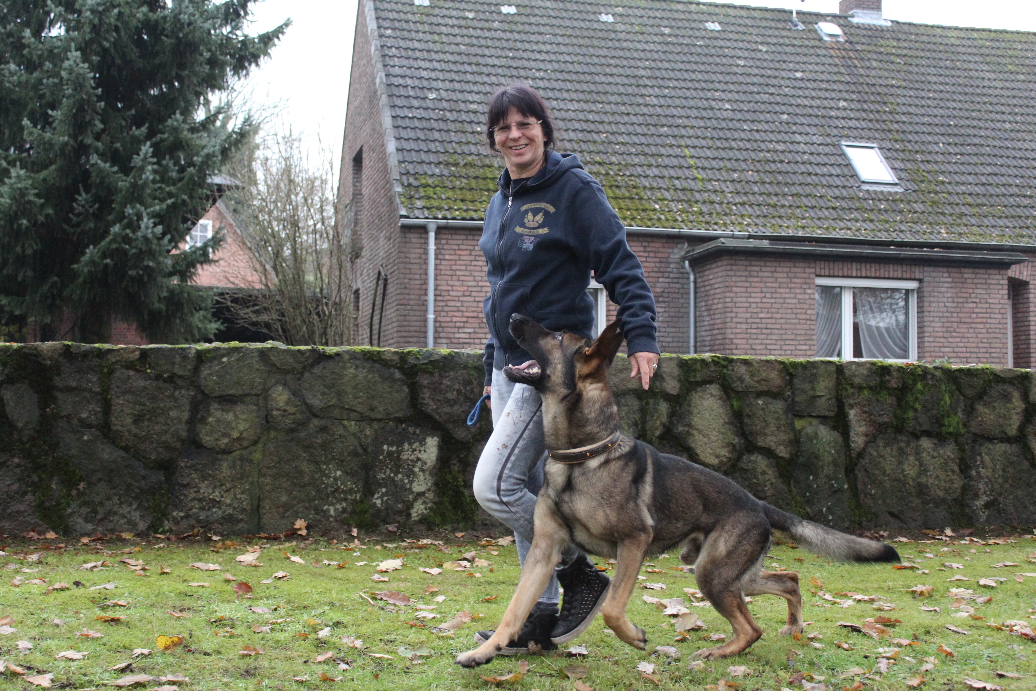 Schulter auf Kniehöhe, Blickkontakt zum Halter und dicht am Körper - Michaela Knoche und
Baracus beherrschen das „Bei Fuß“-Gehen in Perfektion