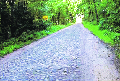 Kopfsteinpflaster und ein sandiger Seitenrand, hier zwischen Dierstorf und Wenzendorf ist Radfahren keine Freude