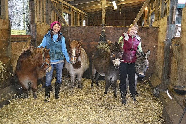 Line Firsching (li.) und Pferdewirtin Teresa Fischer  mit den Ponys (v. li.): "Tuul" und "Anniki" sowie den Eseln "Mimi Hübsch" und "Max Schmeling"