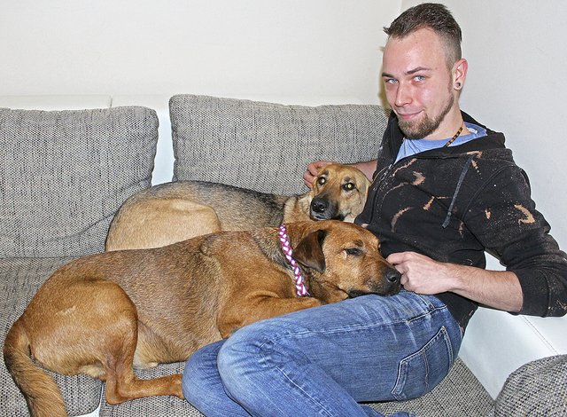 Schon nach kurzer Zeit ein Herz und eine Seele: Karsten Schermer mit "Sammy" (vorne) und "Cathy"