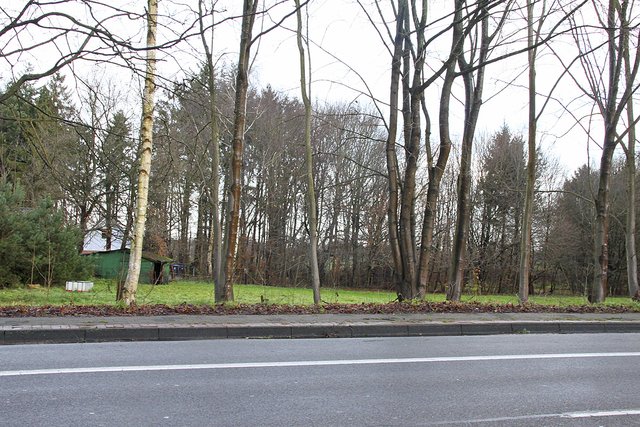 Noch grüne Wiese: das Baugrundstück an der B73 in Düdenbüttel