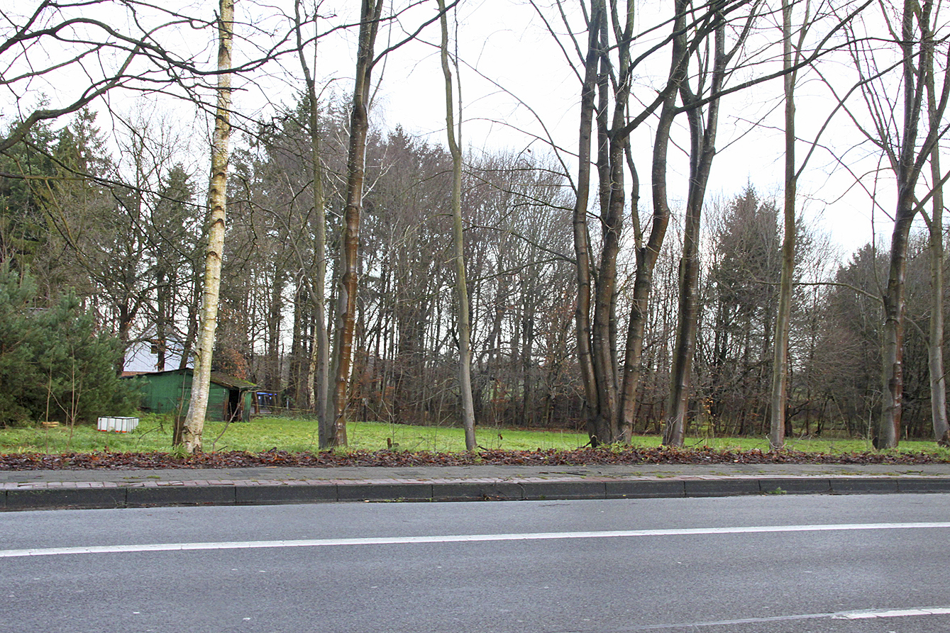 Noch grüne Wiese: das Baugrundstück an der B73 in Düdenbüttel