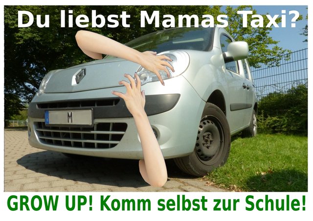 Die Grafik von Lina Zabel