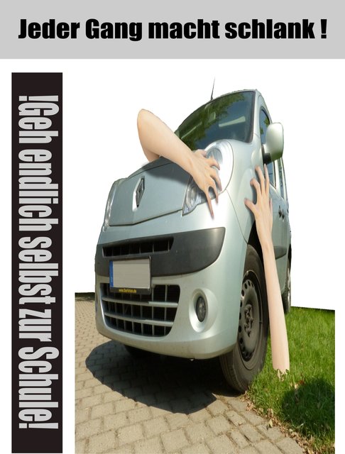 Die Grafik von Vivian Borucki