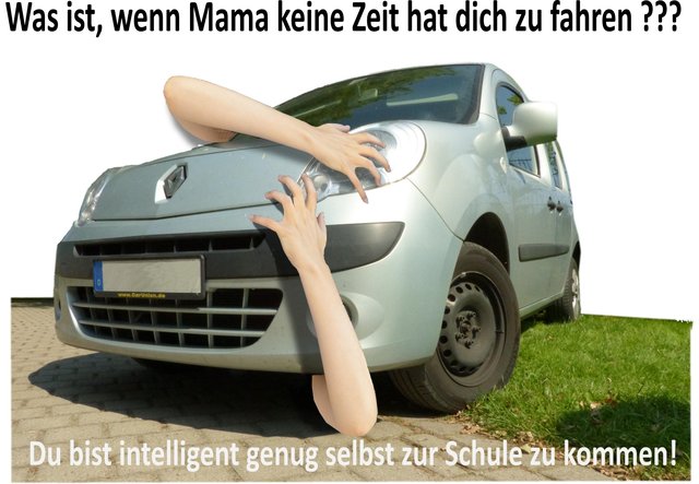 Die Grafik von Lianne Hase