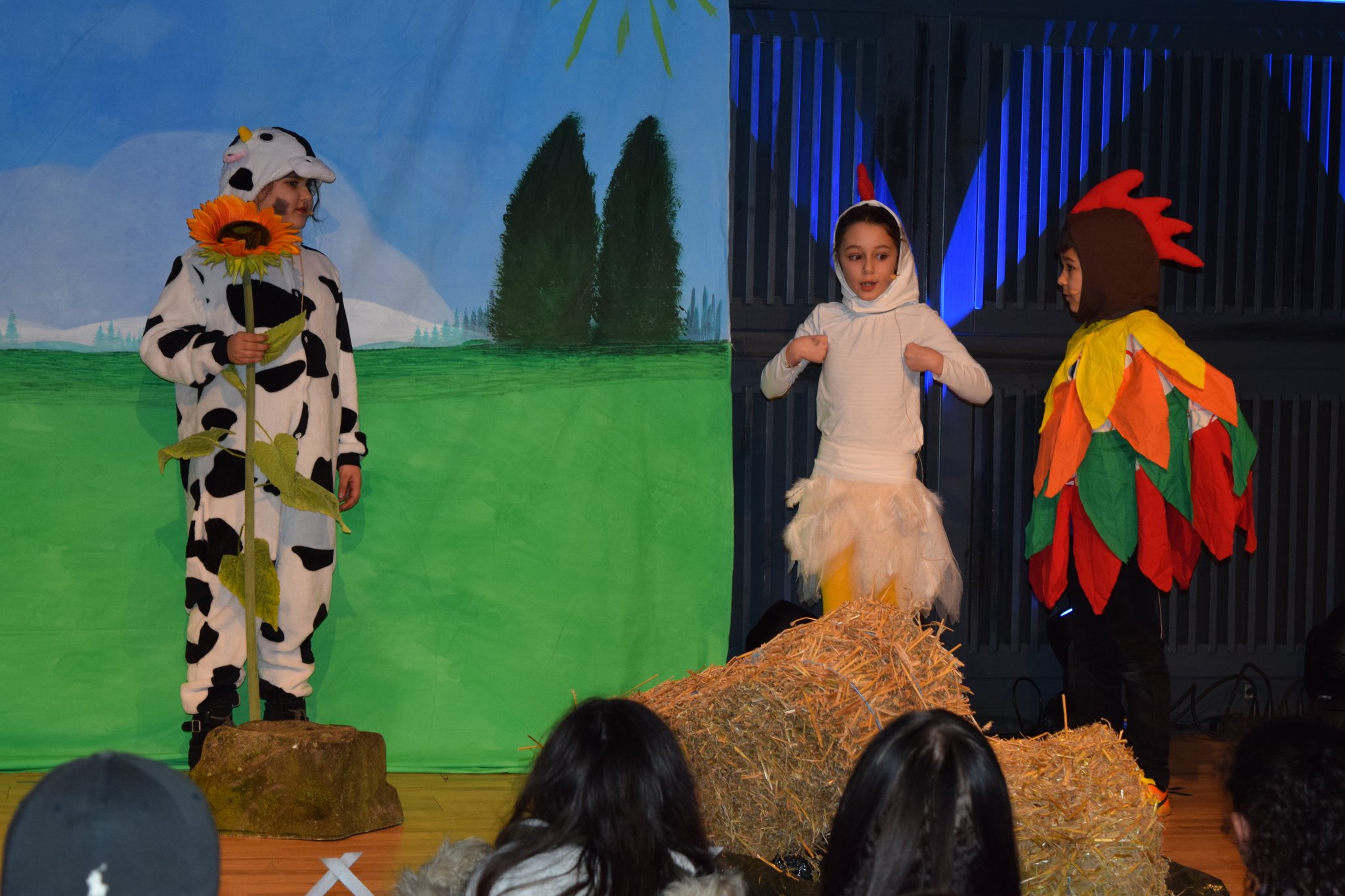 Jugendkultur Pur Die Jugend Zeigte Was Sie Kann Winsen