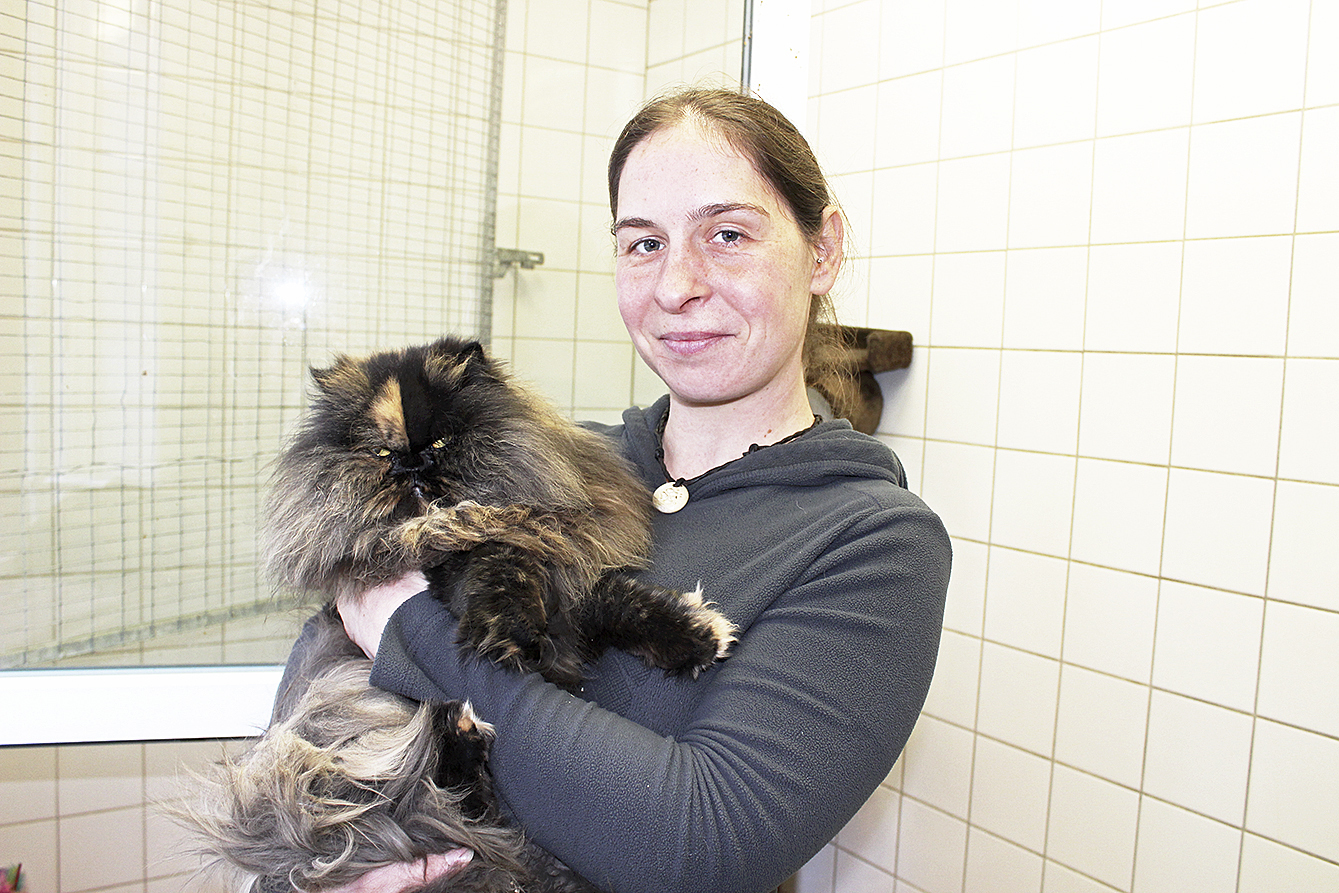Tierheim-Leiterin Julia Weber mit einer jungen Perser-Katze, die in Hahle gefunden wurde Fotos: lt