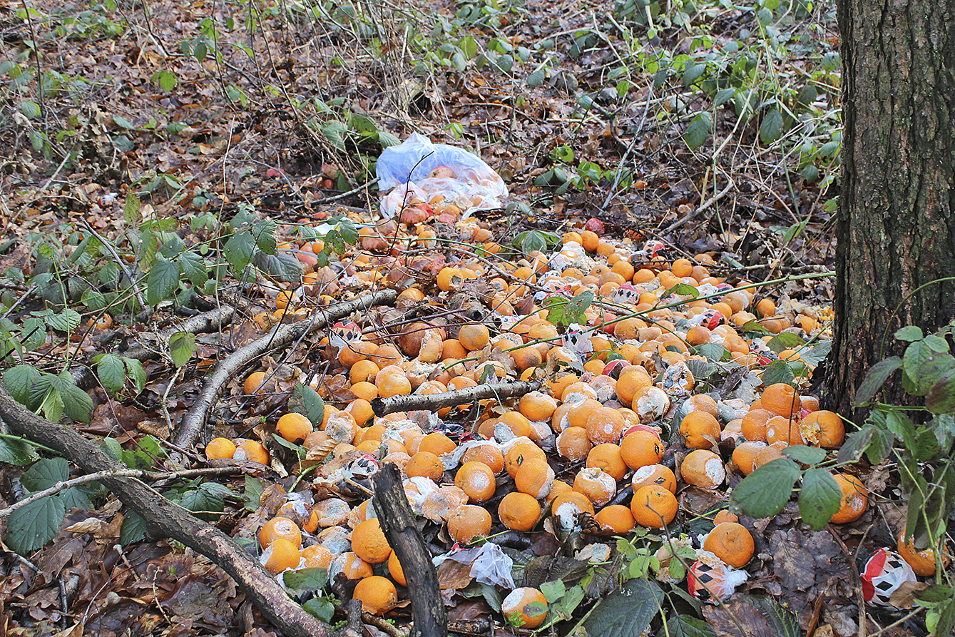 Kiloweise Orangen liegen im Wald