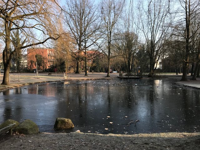 Der Teich im Buchholzer Rathauspark