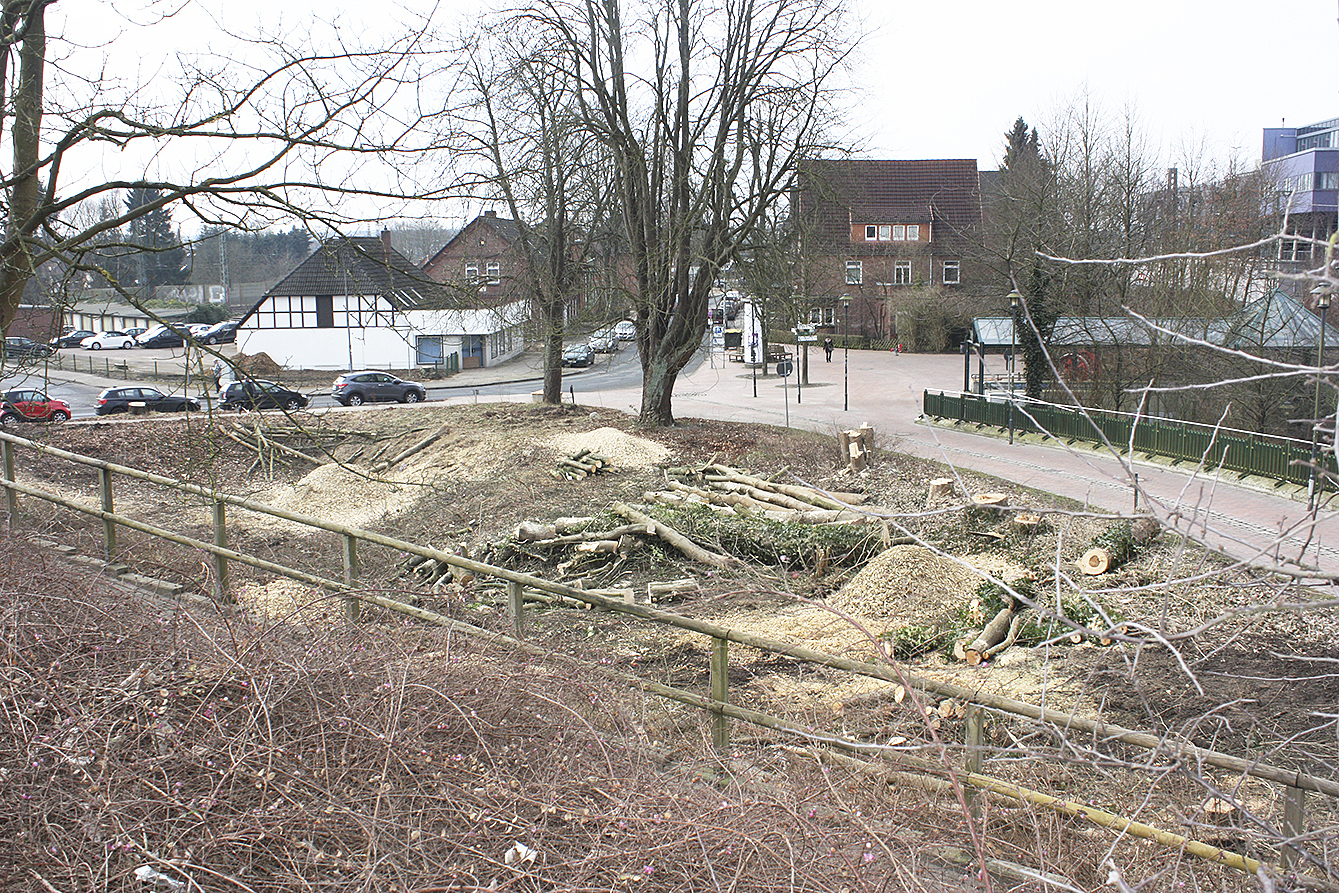 Auf diesem Grundstück soll später ein Dienstleistungsgebäude gebaut werden
