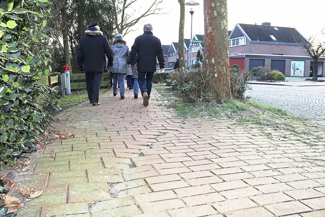 In der Straße "Kalkwiesen" ist der Gehweg an vielen Stellen durch die Wurzeln der Platanen beschädigt