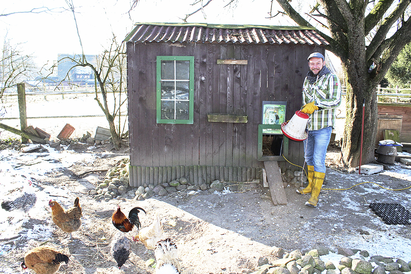 Florian Pillip hält im Garten zehn Hühner und drei Hähne Fotos: lt