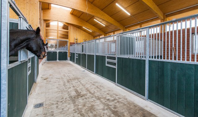 In dem neuen Stall befinden sich 22 Boxen