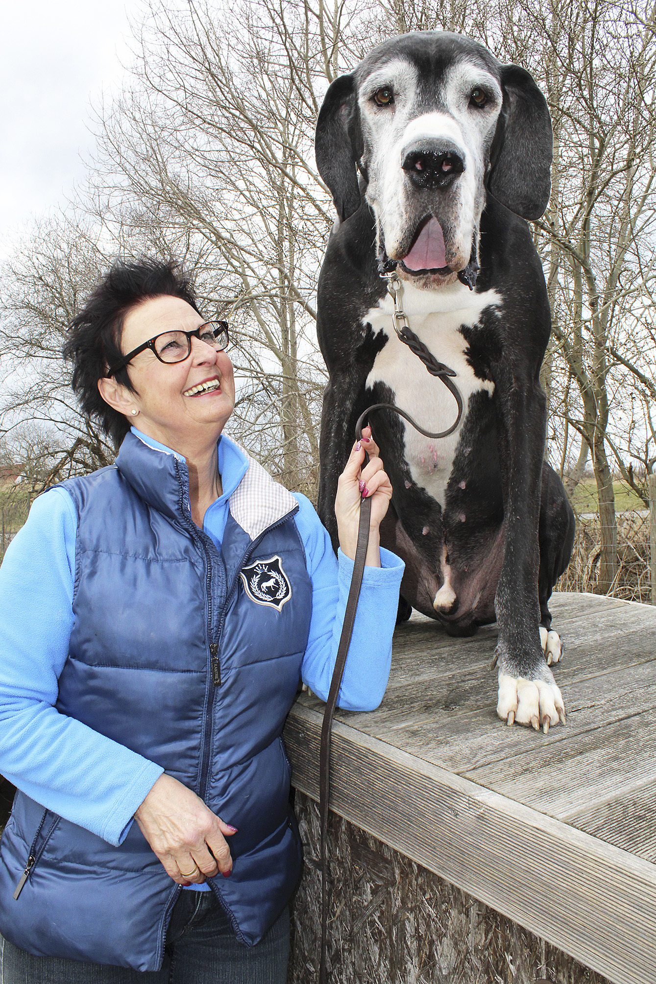 Mit 90 Zentimetern Höhe und 80 Kilo Gewicht ein echter Prachtkerl: "Pablo" mit Frauchen Kristin Zander