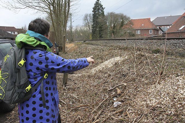 Neben dem Bahndamm an der Gartenstraße wurde eine Weißdornhecke gekappt: Anwohnerin Karin Wichel ist empört