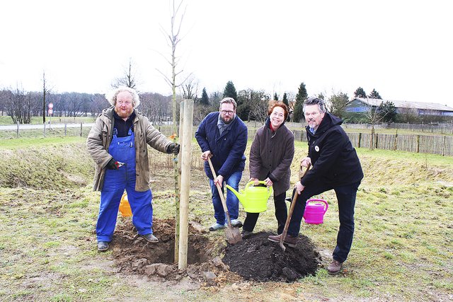 Pomologe Eckart Brandt (v. li.), Museumsdirektor Stefan Zimmermann, Gudrun Hofmann (BUND) und Dr. Olaf Anderßon (Verein Lüneburger Streuobstwiesen) pflanzen den "Roten Brasilapfel" im Entdeckergarten