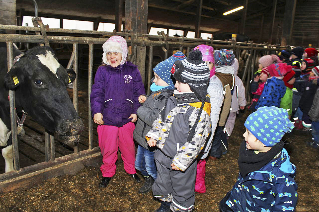 Die Kinder waren begeistert von der Begegnung mit den Kühen