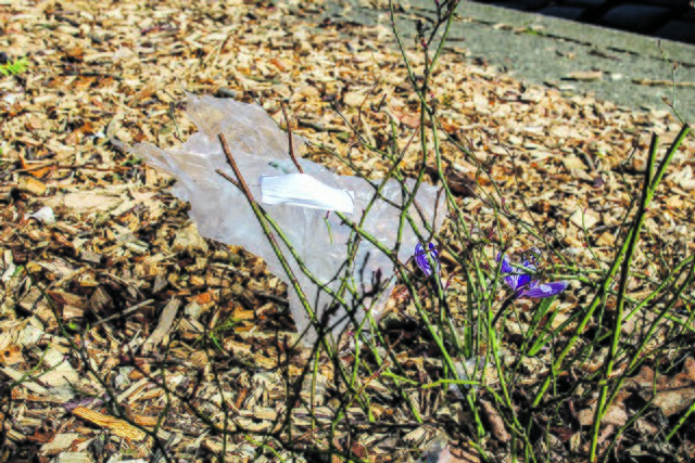 Das muss nicht sein:
Plastikmüll im Krokus