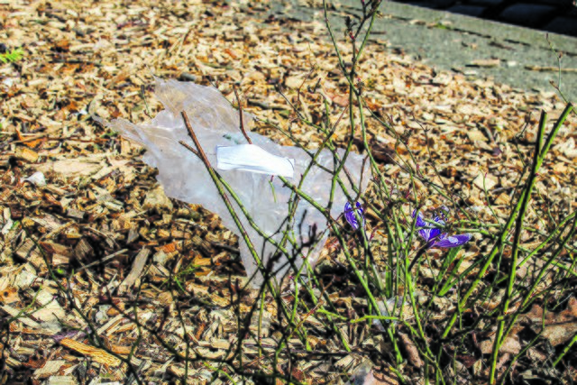 Das muss nicht sein: 
Plastikmüll im Krokus | Foto: tk