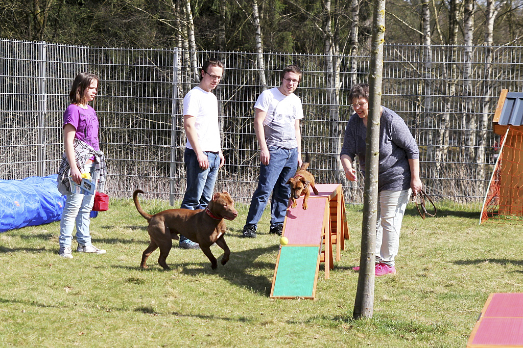 Zwei- und Vierbeiner hatten Spaß bei der
Eröffnung des Hundeauslaufplatzes