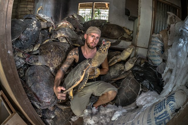 Prangert auch die Verschmutzung und Ausbeutung der Umwelt an: Robert Marc Lehmann mit verendeten Schildkröten | Foto: Brian Mead