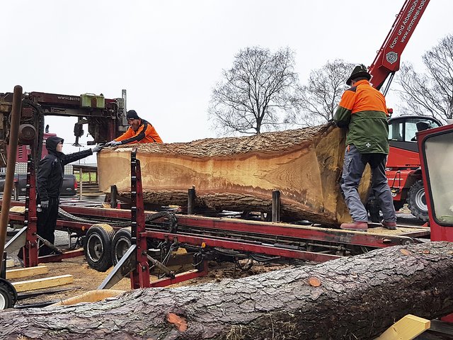 Beeindruckende Ausmaße: das mobile Sägewerk, das auch diese Woche noch im Einsatz ist | Foto: Anja Warnecke