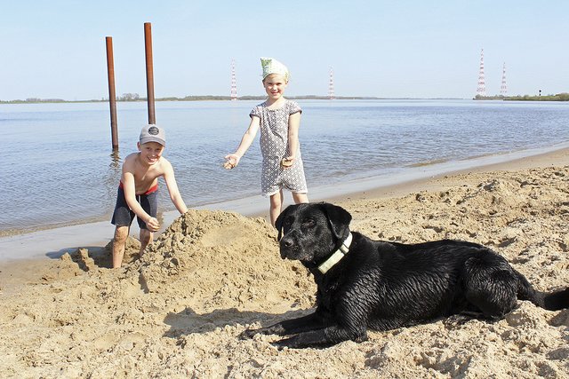 Die Geschwister Paul (9) und Marie (6) Sylvester aus Apensen 
buddelten am Bassenflether Strand und kühlten sich zwischendurch in der Elbe ab. Auch Labrador-Mix "Lucky" genoss die Sonne | Foto: lt
