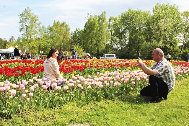 Was für eine Foto-Kulisse: Tatjana Sikorski und Maik Hasenbank machen Fotos im Tulpen-Meer Fotos:as