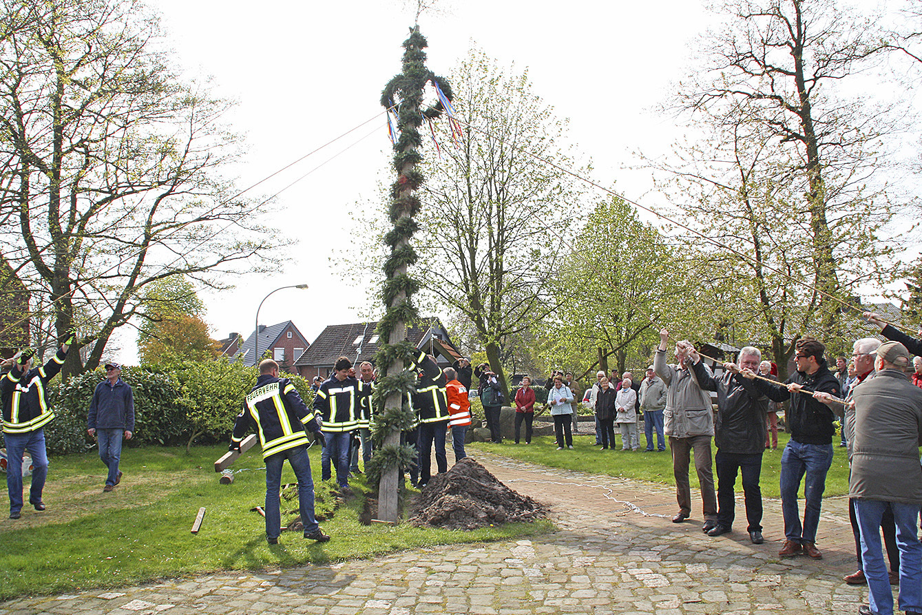 Helfer richteten den Maibaum bei heftigen Windböen auf