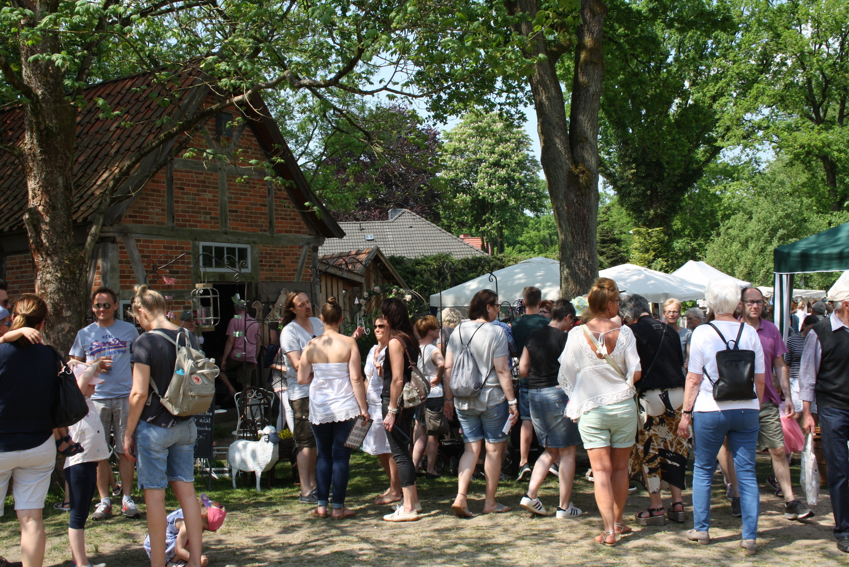 Buntes Treiben herrschte am Sonntag in Seppensen