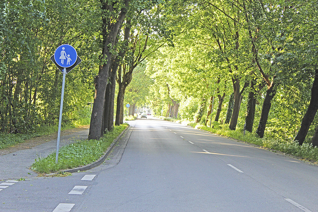 Hier sollen Radfahrer ab elf Jahren auf der Straße fahren Fotos: mi/SPD