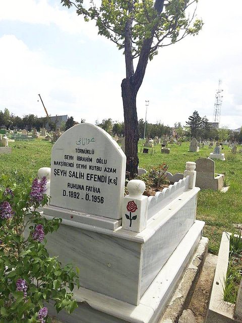 Einzelgrab in der türkischen Stadt Sivas | Foto: Mehmet Sancak Trabzon