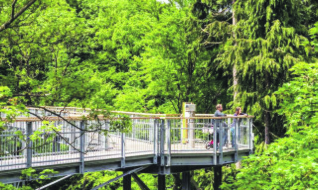 Herzstück des Projekts ist ein naturpädagogischer Baumwipfelpfad, der den Besuchern die heimische Flora und Fauna näher bringen und den Natur- und Umweltschutz thematisieren soll. Hier ein Beispielfoto