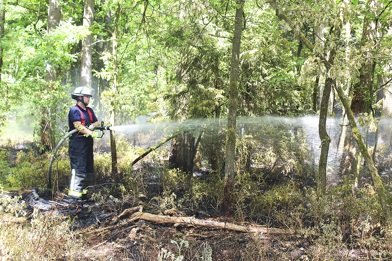 In Buchholz sind rund 300 Quadratmeter Waldboden in Brand geraten.
Rund drei Stunden waren die Feuerwehrleute mit den Löscharbeiten beschäftigt Fotos: as