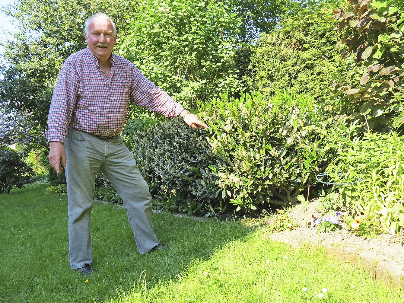 Heinrich Hagemann in seinem Garten: Hier jagen frei laufende Katzen