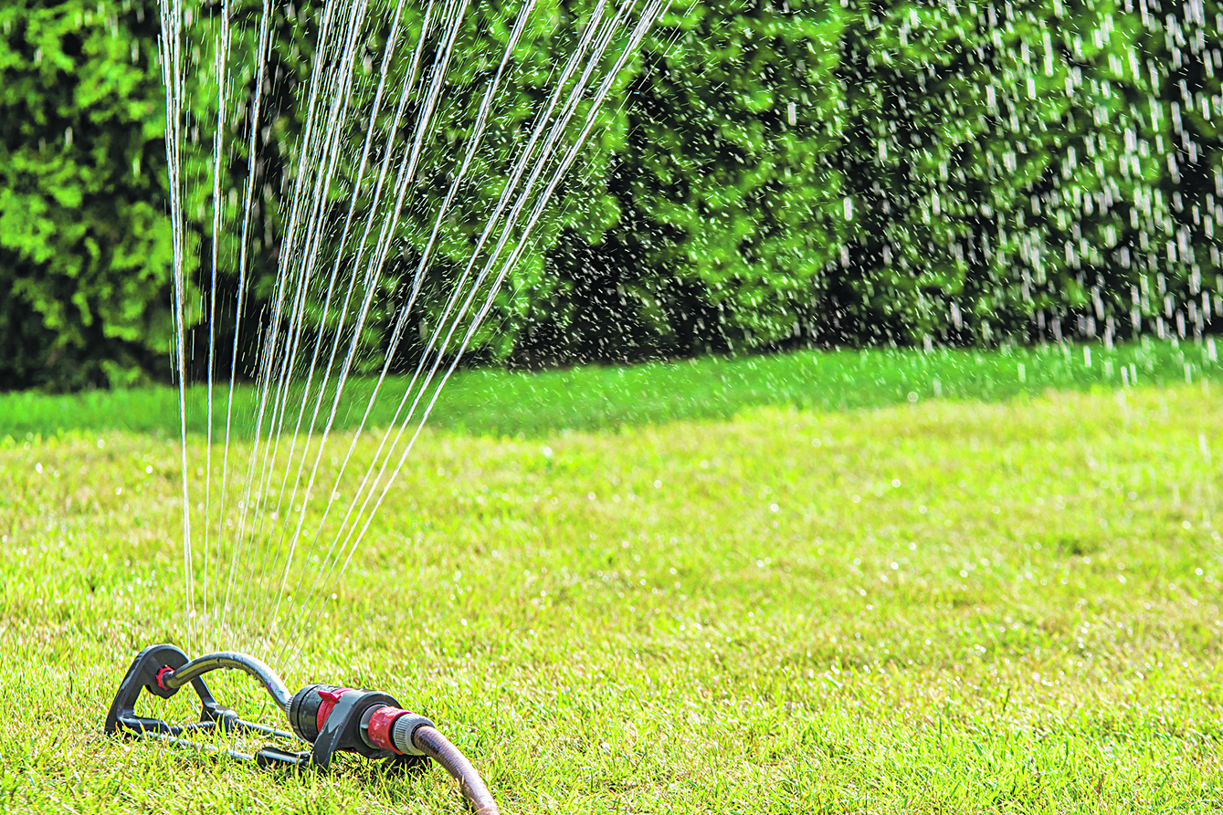 Ist vorerst nicht erlaubt: den Garten mit einem Rasensprenger bewässern
Foto: Fotolia/Ralf Geithe