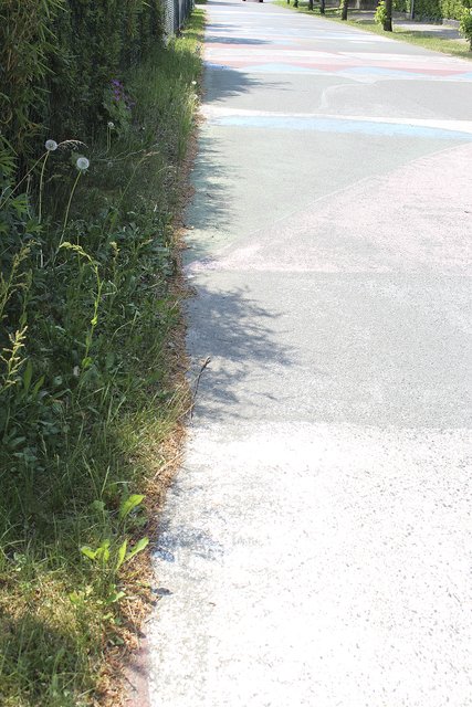 Die Straßenmalerei in der Straße "Schaftrift" von Monika Michalko soll einen Wert von 30.000 Euro haben. Die Farbe ist kaum noch zu erkennen, Unkraut wuchert überall