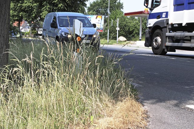 Das Gras ist viel zu hoch, die Sicht auf die
Hauptstraße ist extrem eingeschränkt