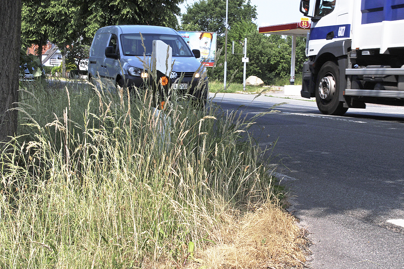 Das Gras ist viel zu hoch, die Sicht auf die
Hauptstraße ist extrem eingeschränkt