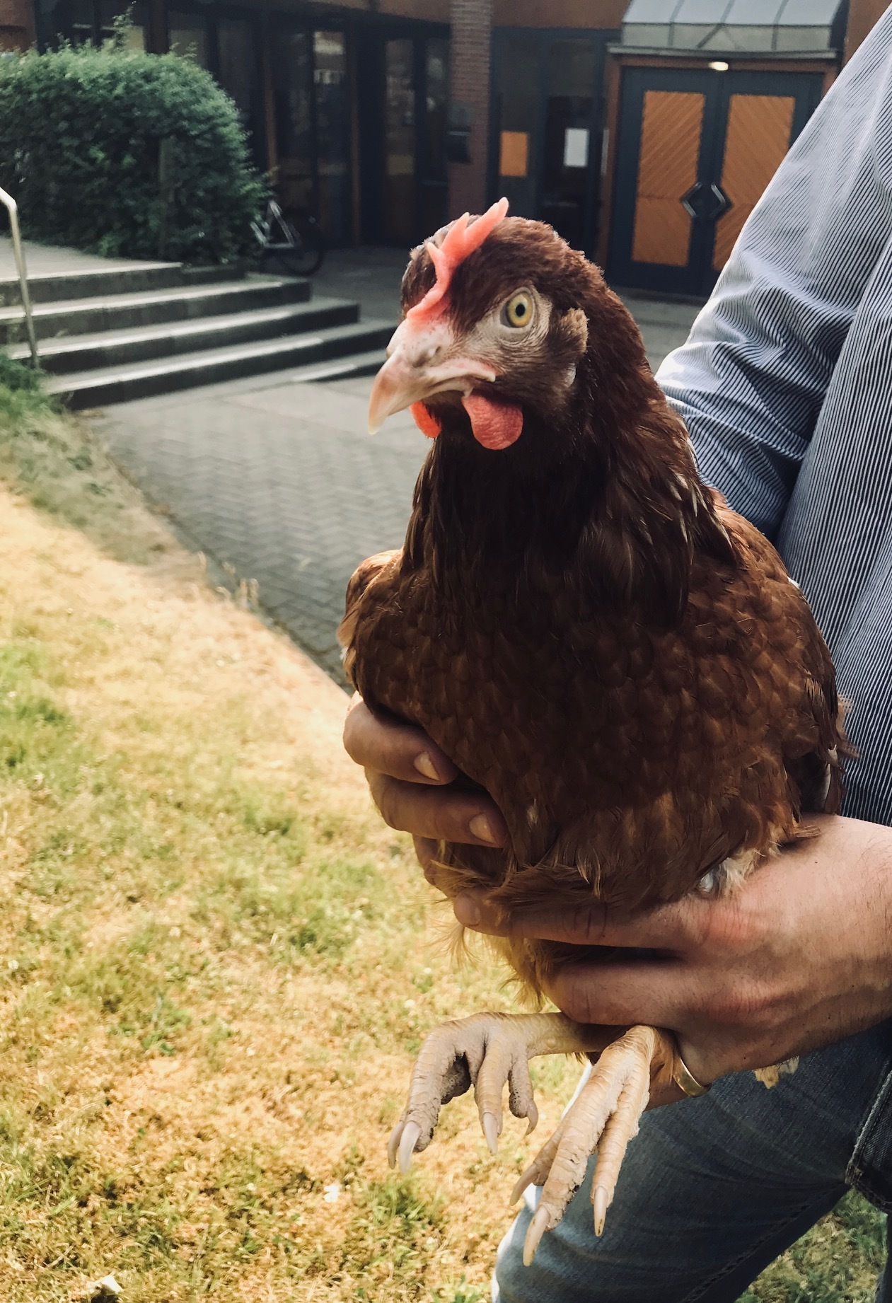 Fand die Schwachstellen im Zaun "Wilma vom Taterberg"