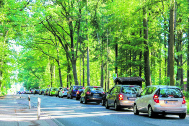 An der Hamburger Straße bildeten sich wegen des Programmierfehlers lange Rückstaus Foto: mi