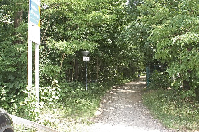 Das Waldstück links des Fußwegs soll für die Parkpalette weichen Foto: os