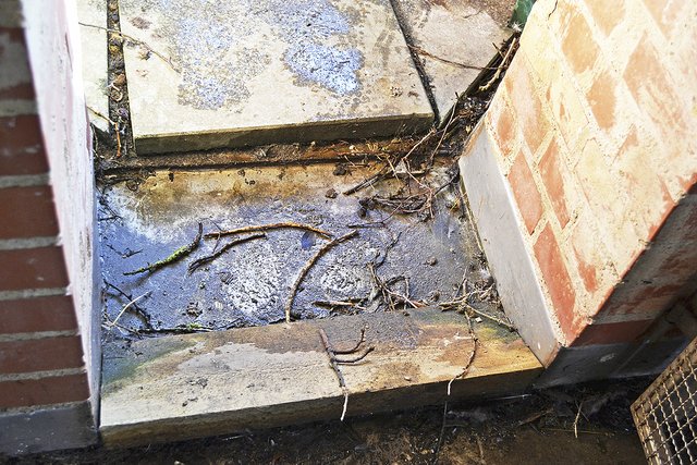 Die größeren Äste fallen bereits vor Erreichen der Nester herunter | Foto: bim