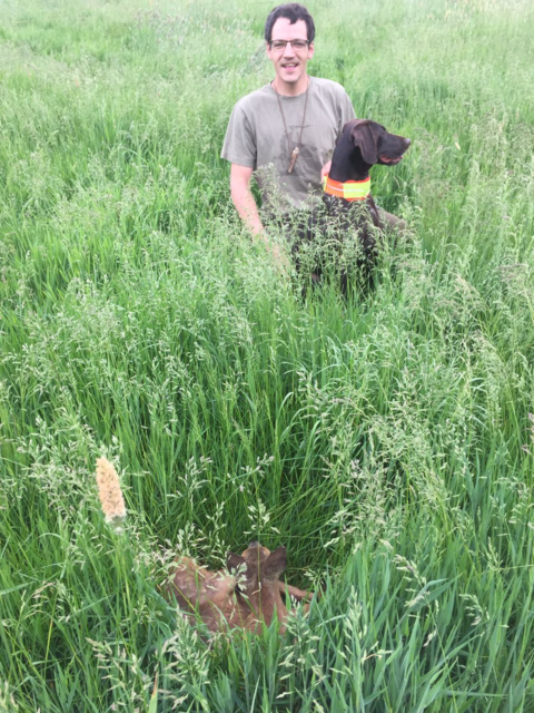 Jan Wiede im Einsatz Jan Wiede mit seiner Hündin "Luna" und einem Kitz im Gras