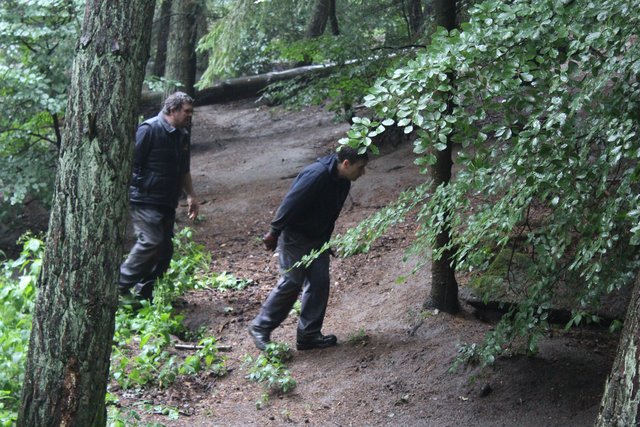 Die Tierpfleger Dirk Wagner (li.) und Maik Elbers durchsuchen das Wolfsgehege nach den Welpen