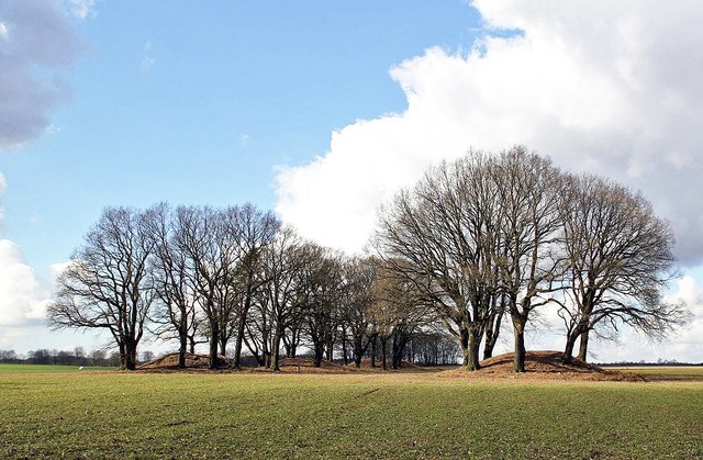 An der Nekropole Daudieck entdeckt der Spaziergänger auf einem 2,5 Kilometer langen Pfad 
viele Grabhügel und erfährt etwas über Bestattungssitten aus drei Jahrtausenden | Foto: Landkreis Stade