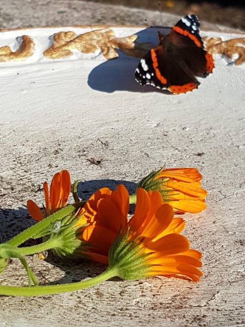 Foto: Stephanie Wegner aus Drage